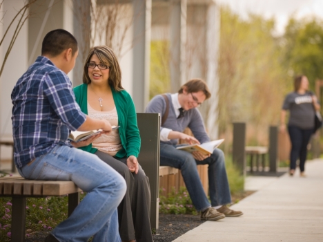 Student talking and studying on campus