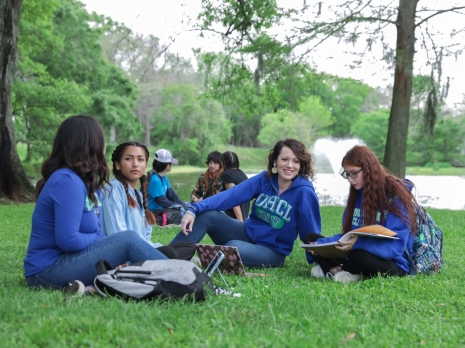 Group of student relaxing on the campus lawn