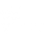 TRAVELINGVINEYARD