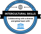 Excel Specialist Badge