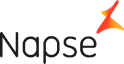 Logo Napse