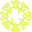 immune system