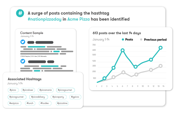 Social media influencer software