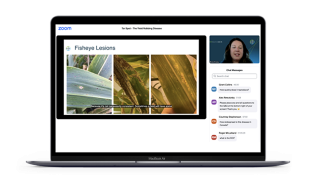 Un ordinateur portable affichant le site Web de webinaire.