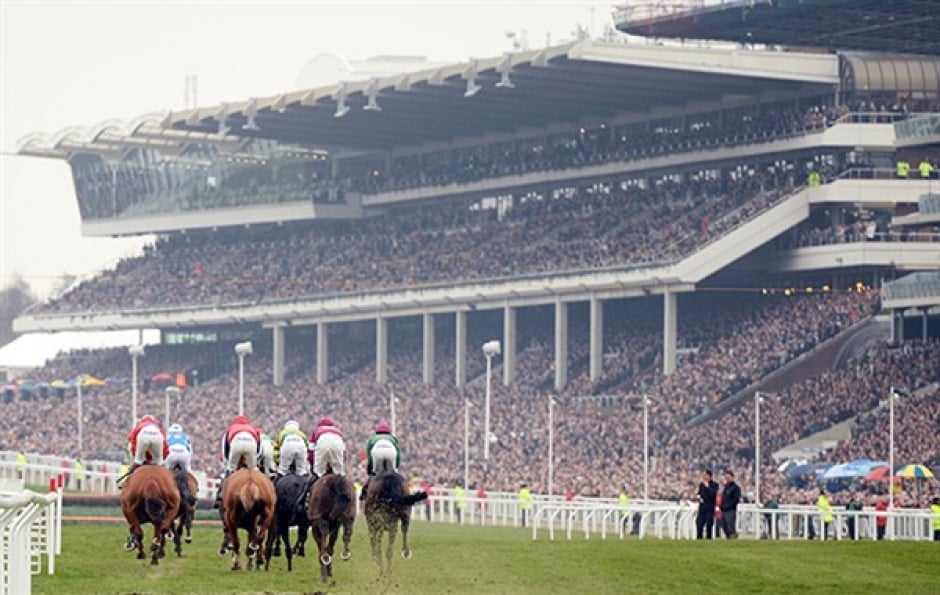 top-racing-tips-for-cheltenham-you-need-to-know