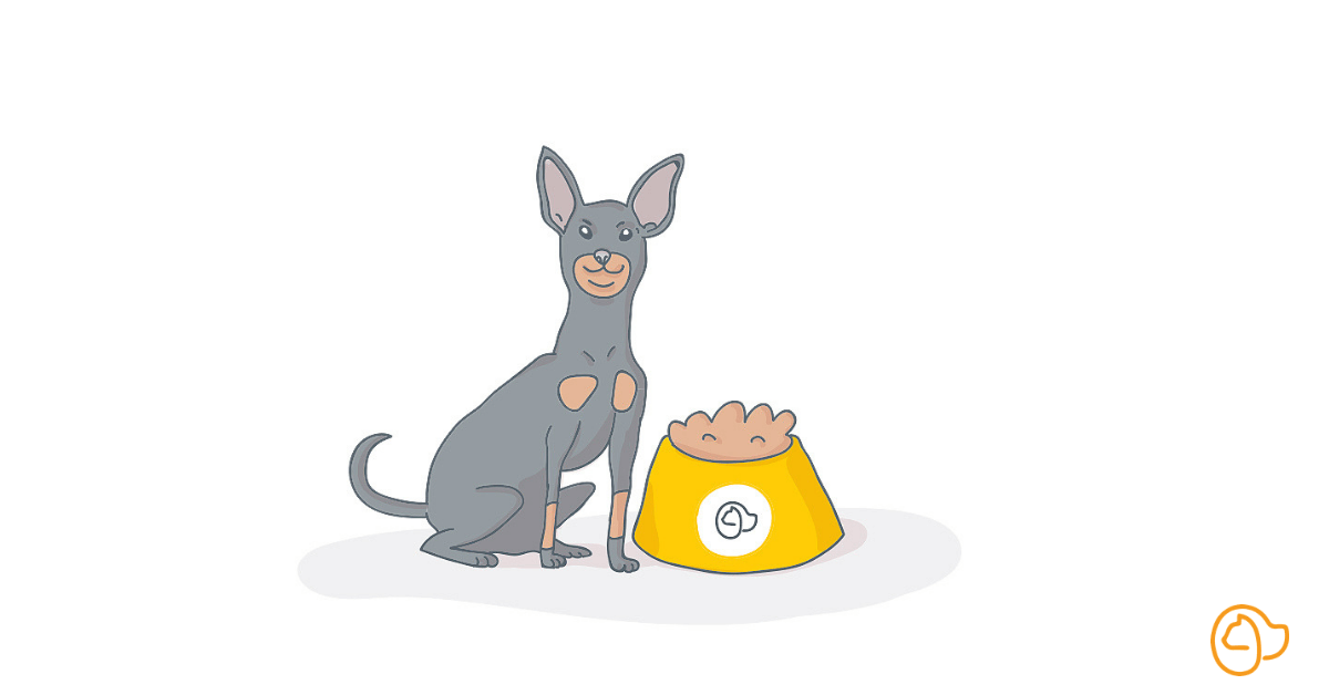 croquettes pinscher nain