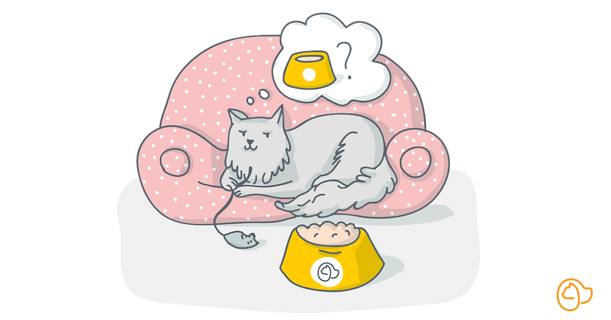 Croquettes pour chat agé senior