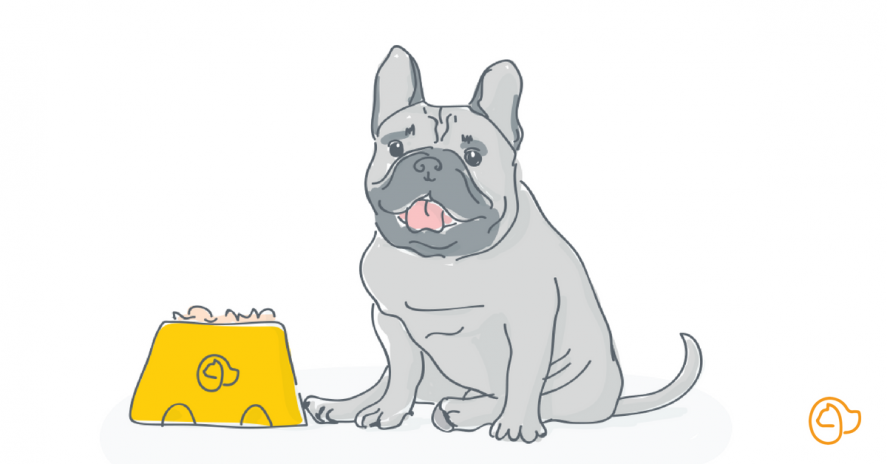 croquette bouledogue francais