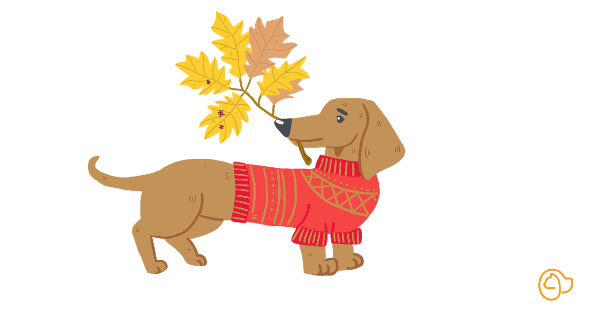 Tique puce parasite chien automne