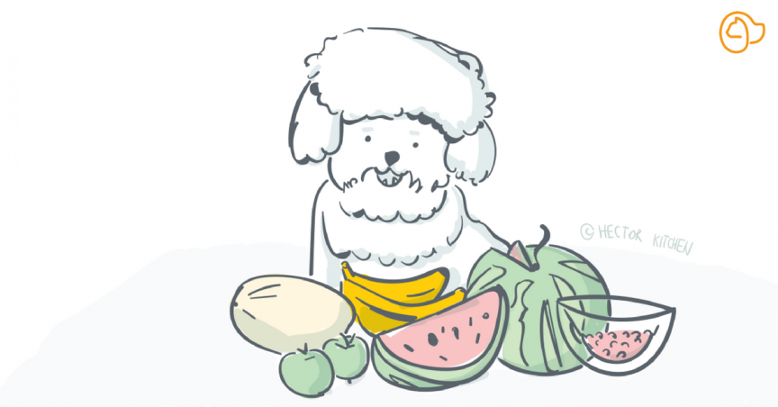 Aliment bon pour le chien