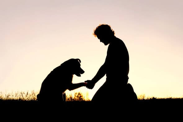 Deuil chien combien de temps ?