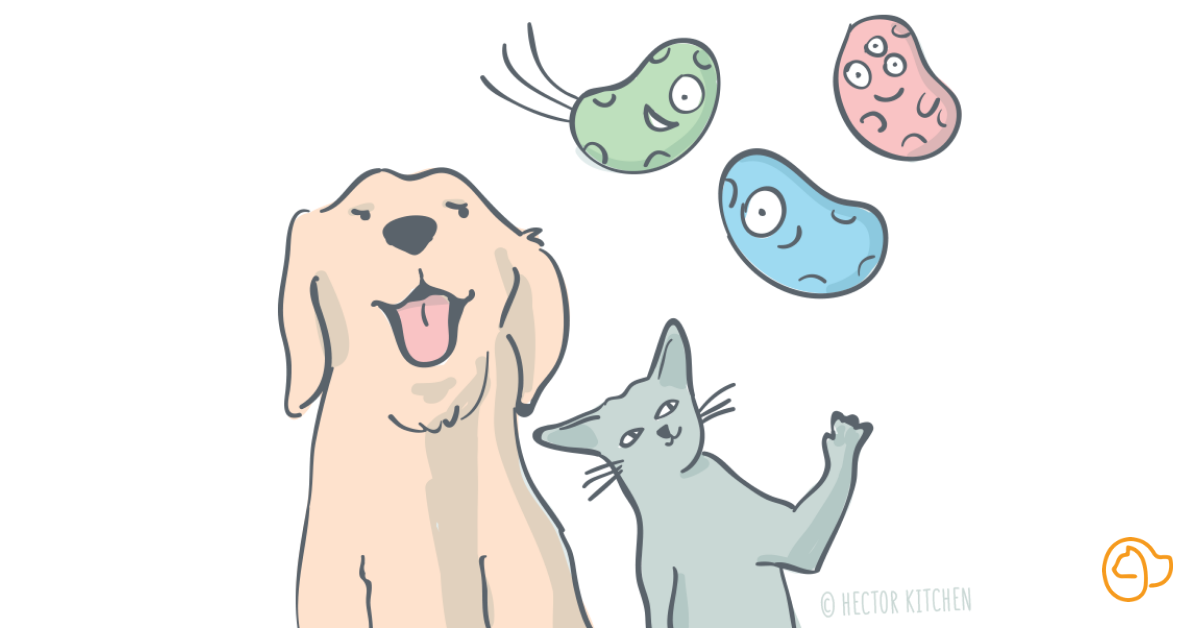 probiotiques prébiotiques chien