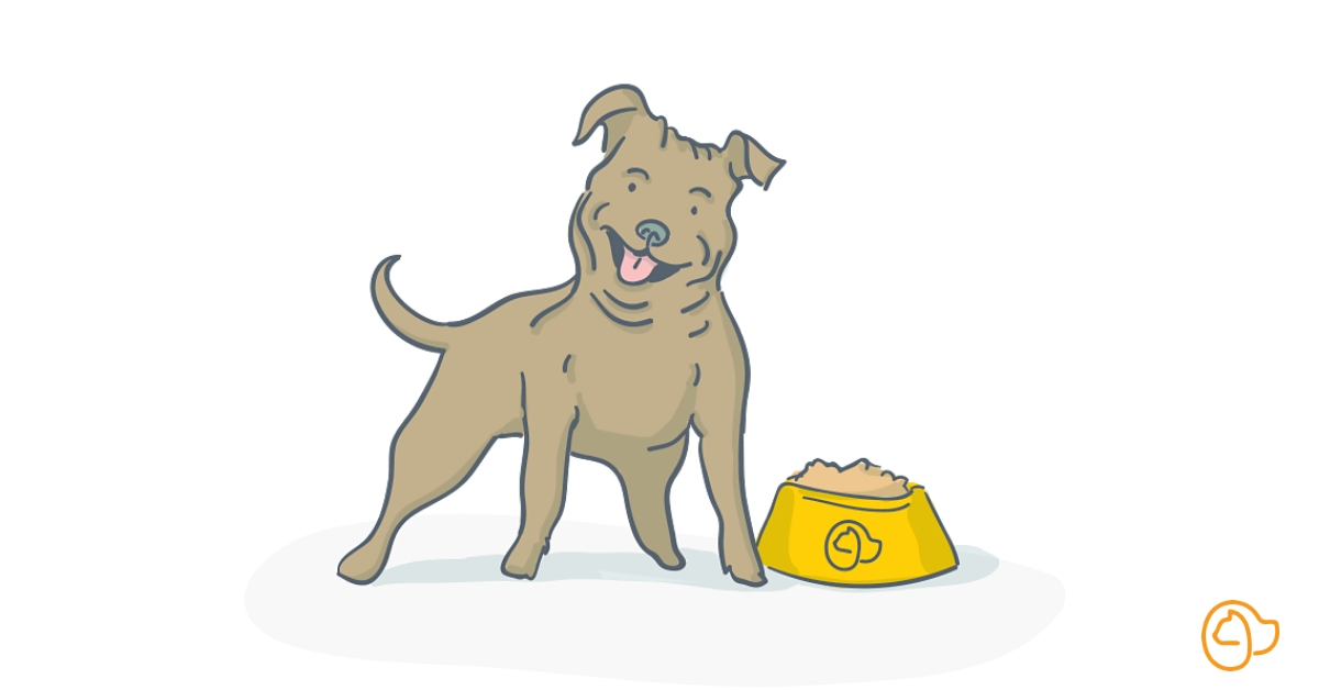 Croquettes pour chien staffie