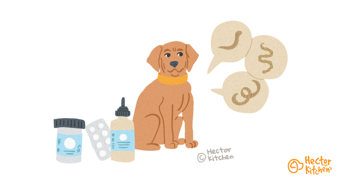 comment vermifuger son chien