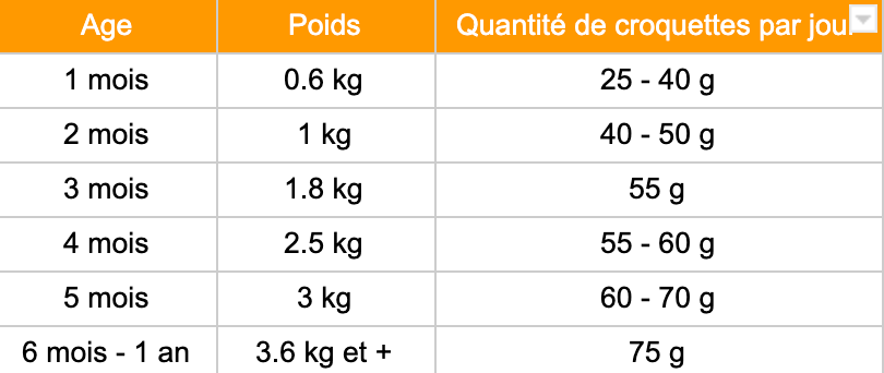 Tableau rationnement croquette chaton