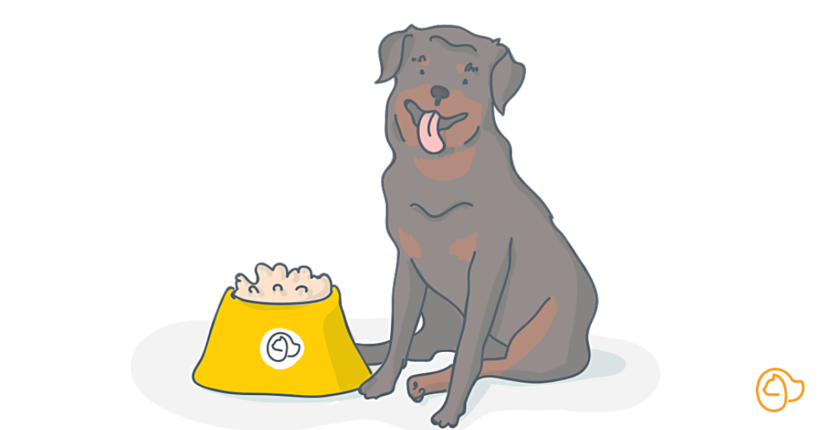 croquette rottweiler