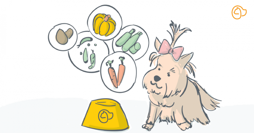 Des légumes pour une alimentation ménagère équilibrée