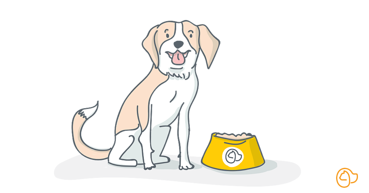 chien beagle