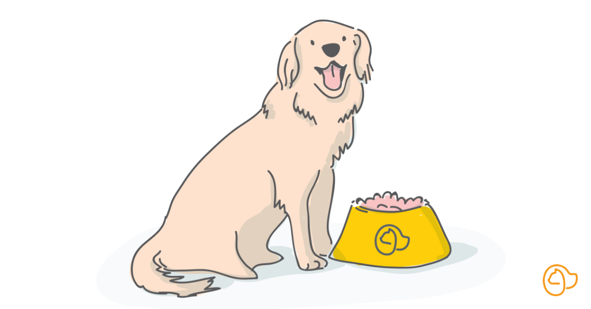 croquettes golden retriever