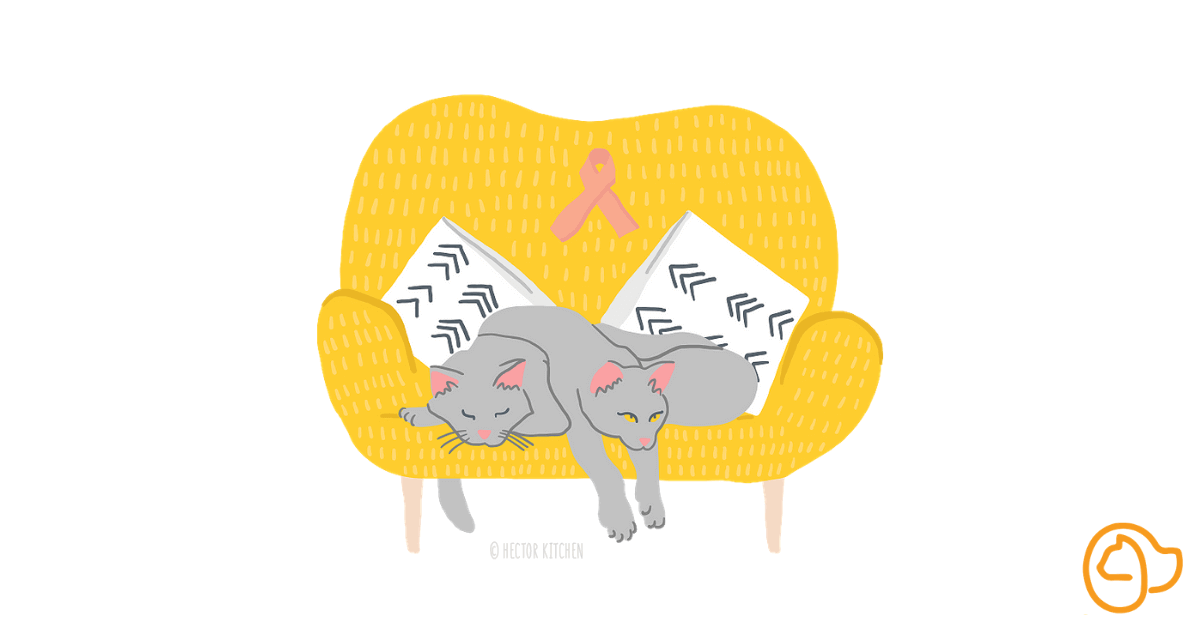 illu-fiv-chat