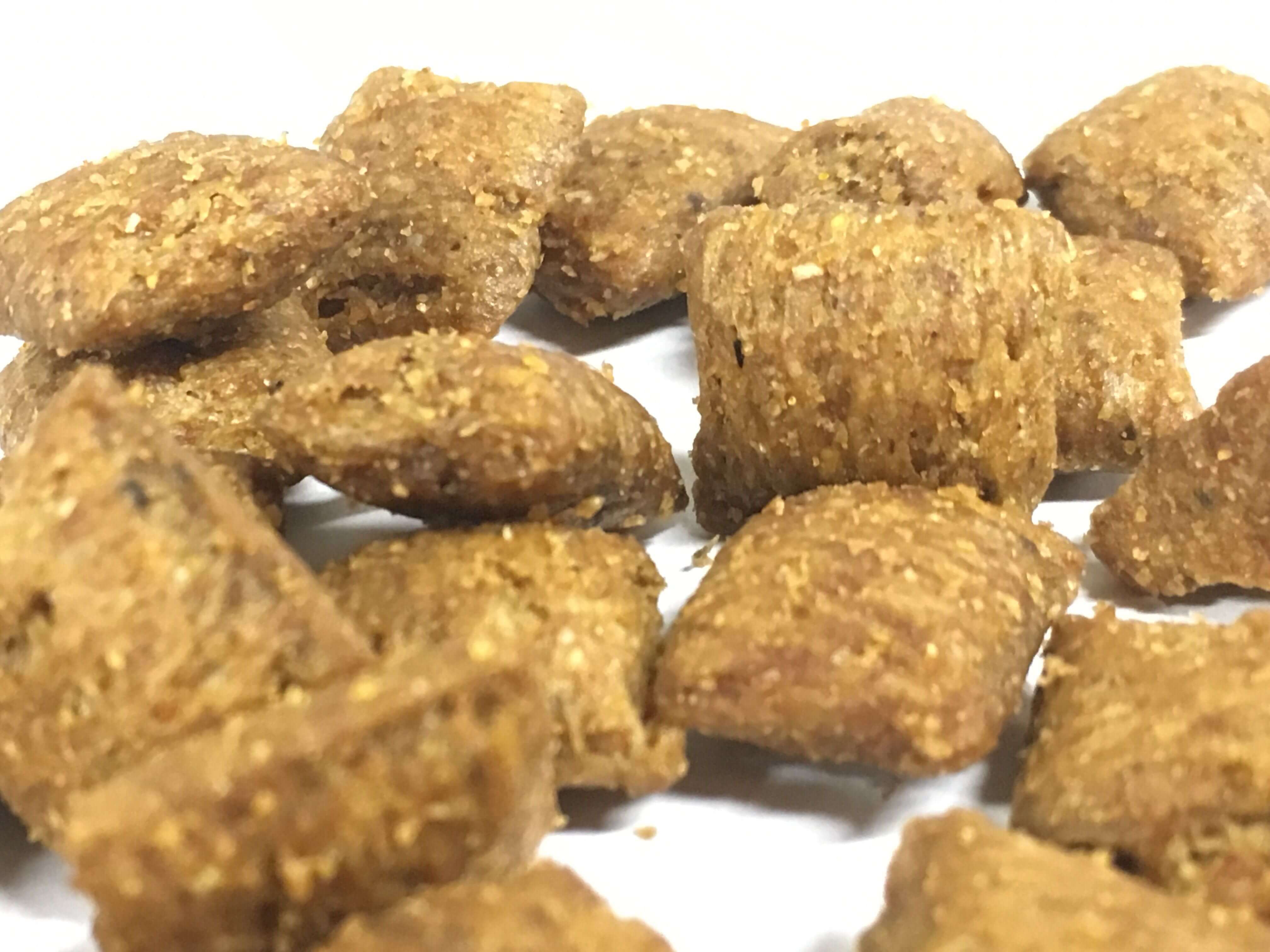 Friandises pour chien cognition