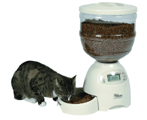 Distributeur automatique croquette chat