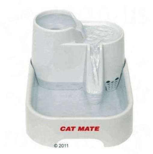Fontaine a eau pour chat
