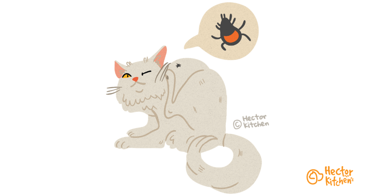 Traiter les tiques chez le chat