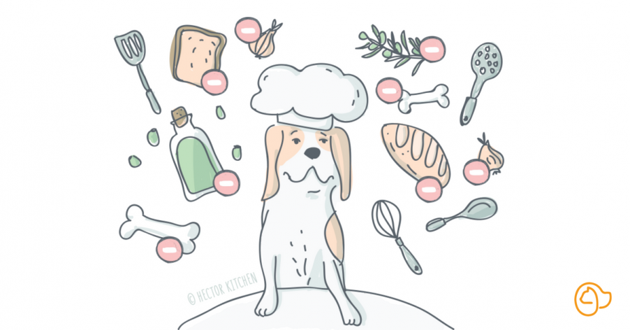 Alimentation maison chien