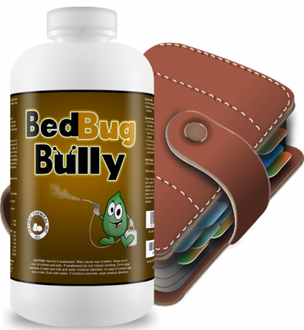 Bed Bug Cleaning Procedures Bed Bug Cleaning Procedures