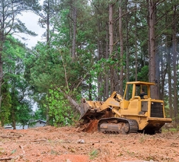 Large equipment removing trees