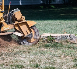 Stump grinder