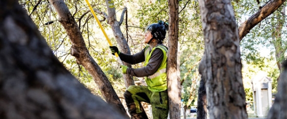 Serviceman on a Tree