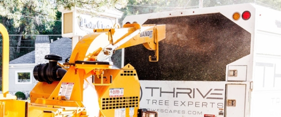 Thrive Tree Crane vehicle machinery