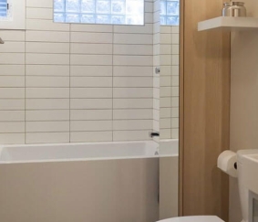 Bathtub and toilet