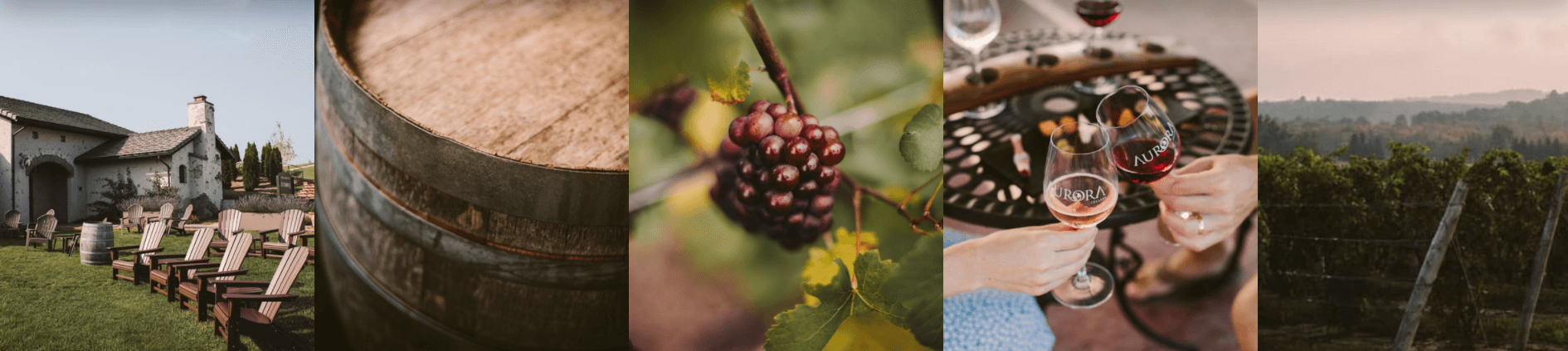 aurora cellars gallery images