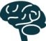 brain icon