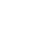 fast icon