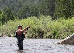 Person standing in water fishing