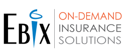Ebix Tagline Logo