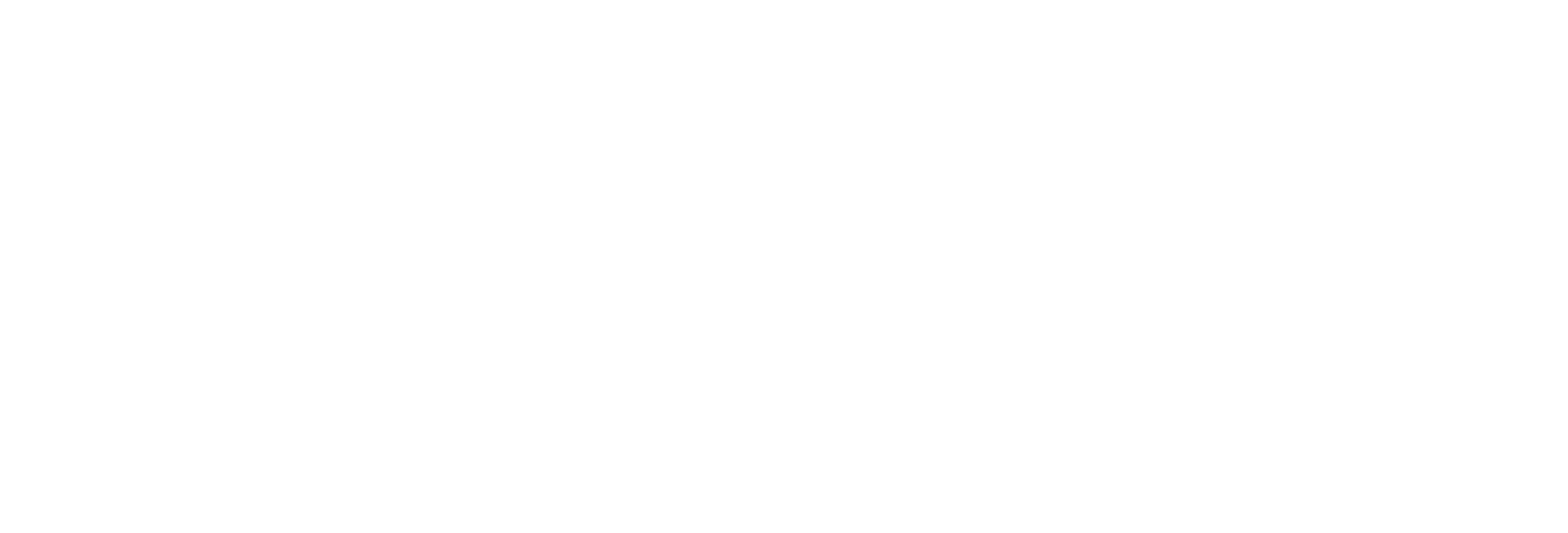 Logo Clever Concepts
