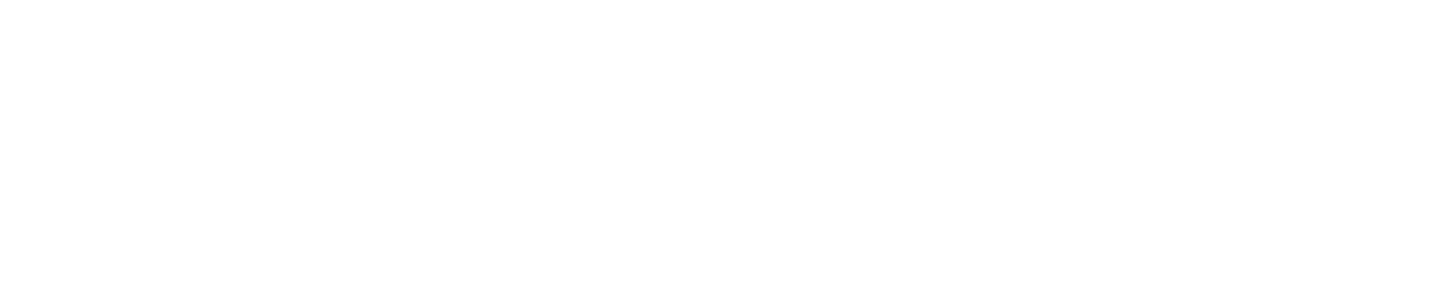 BFO Logo