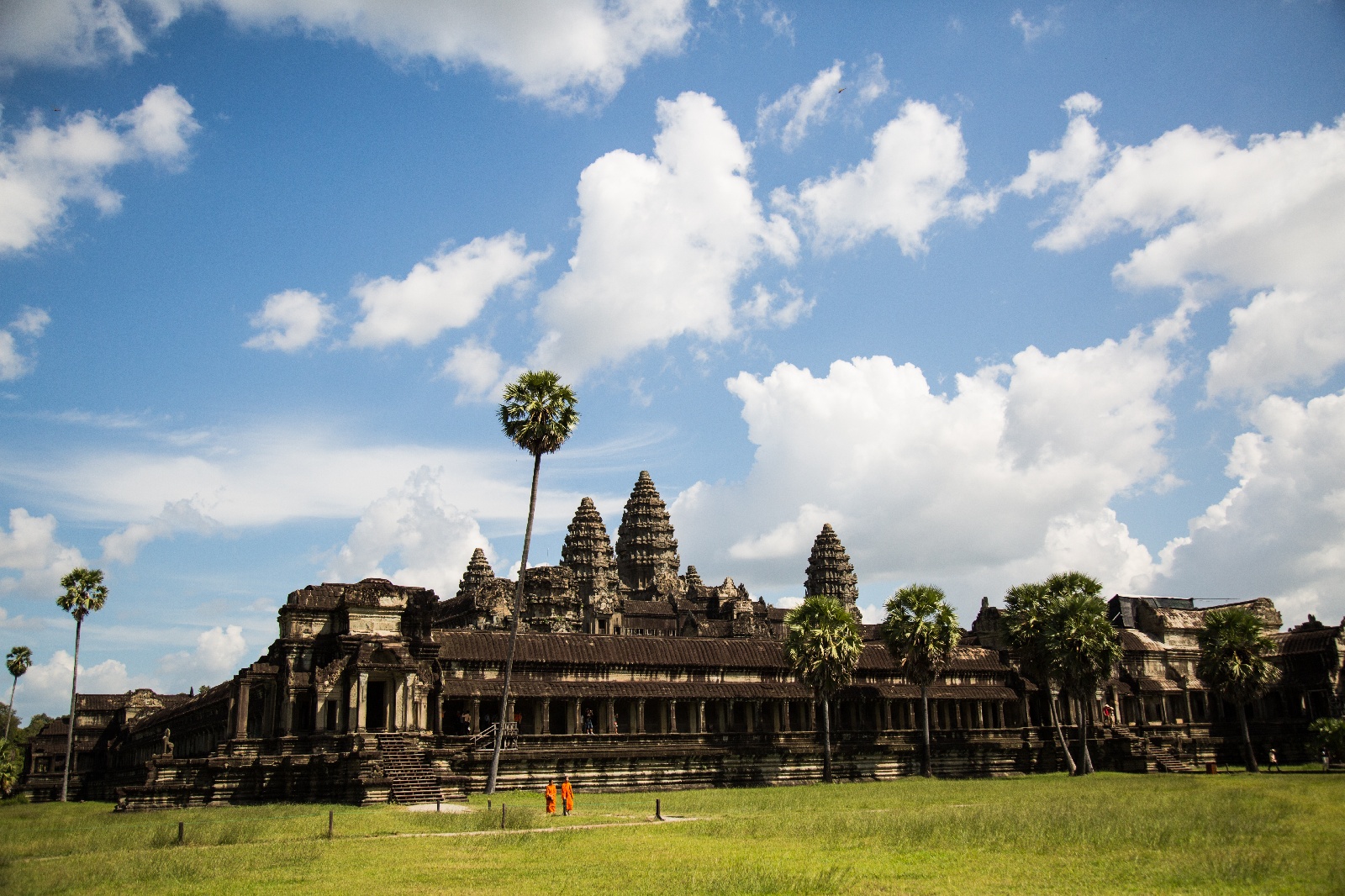 Pomelo Travel Save 500+ On Your Next International Flight