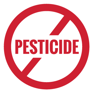 Pesticide icon