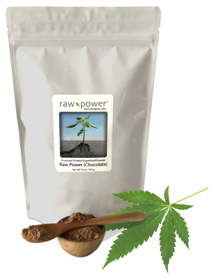 Raw Power Protein Superfood