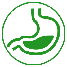 digestion