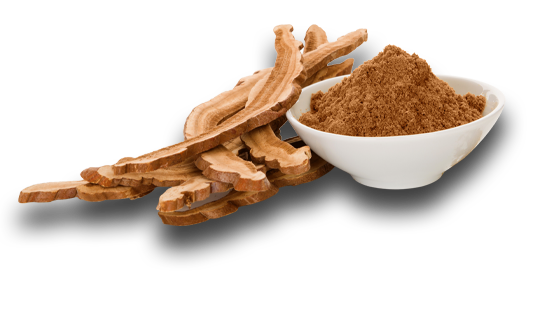lucuma