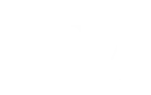 qm