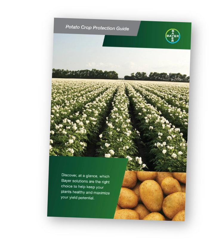 Cover of the Potato Crop Protection Guide showing a field of a flowering potato plants and a close-up of several potatoes.