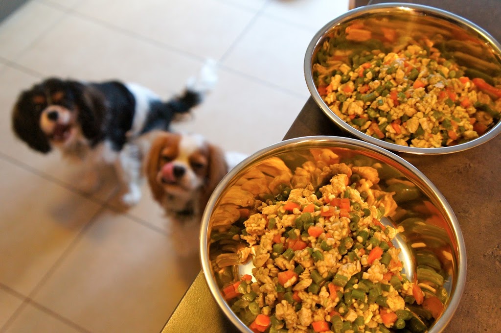 alimentation maison chien